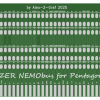 Печатная плата RIZER x2 NemoBus для PentoGraf (чёрная маска) #Y3